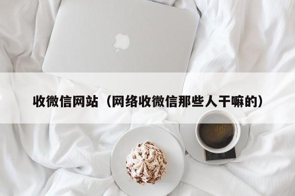 收微信网站（网络收微信那些人干嘛的）