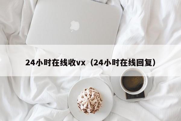 24小时在线收vx（24小时在线回复）